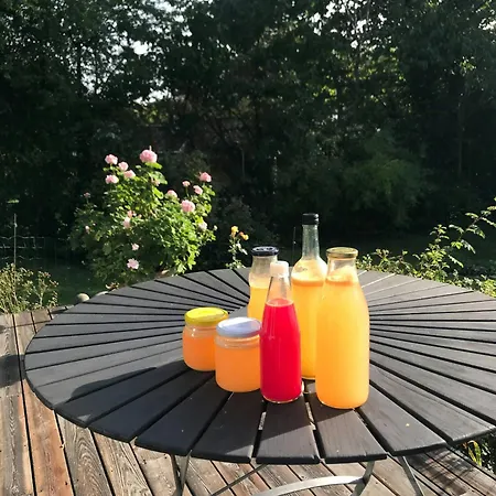 Personal House With Garden Near Roskilde Fjord *