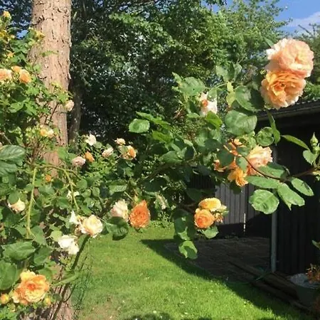 Semesterbostad Personal House With Garden Near Roskilde Fjord Kulhuse